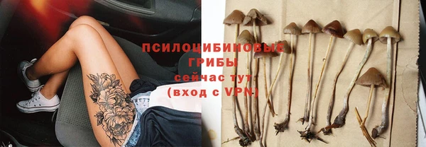 ГАЛЛЮЦИНОГЕННЫЕ ГРИБЫ Верея