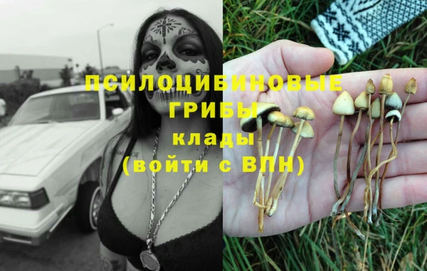 шишки Белоозёрский