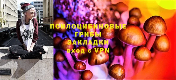мяу мяу мука Бородино