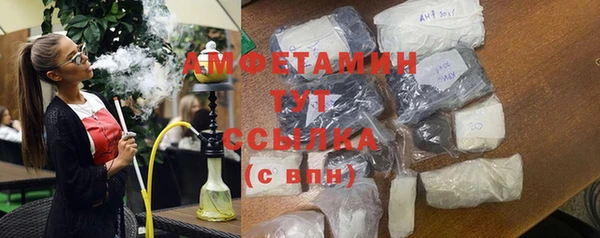 ГАЛЛЮЦИНОГЕННЫЕ ГРИБЫ Верея
