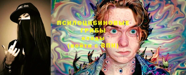 мяу мяу мука Бородино
