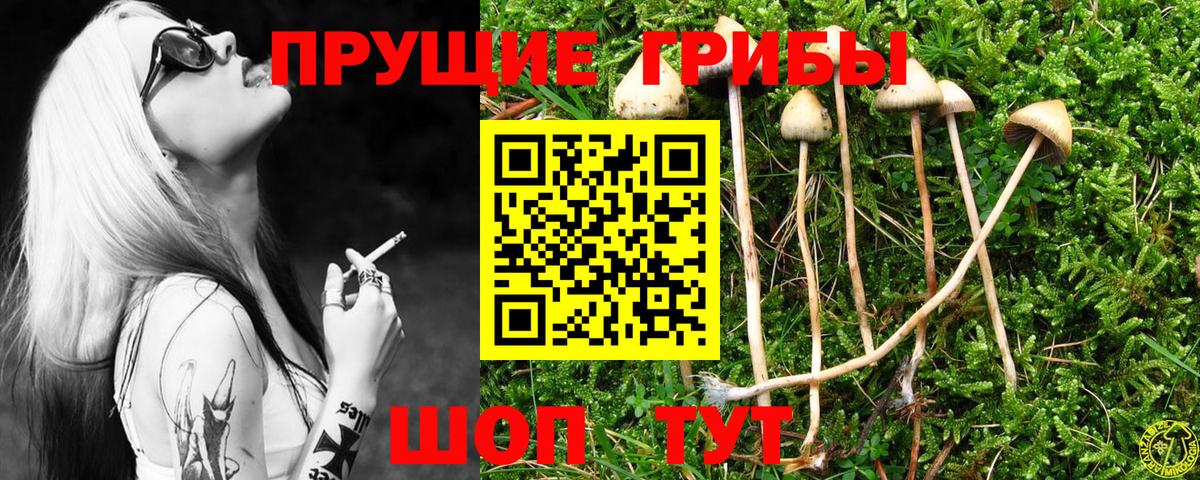 Острогожск  Псилоцибиновые грибы мухоморы  Вход с VPN 